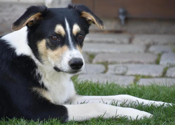 Casa Schrader Apartment *