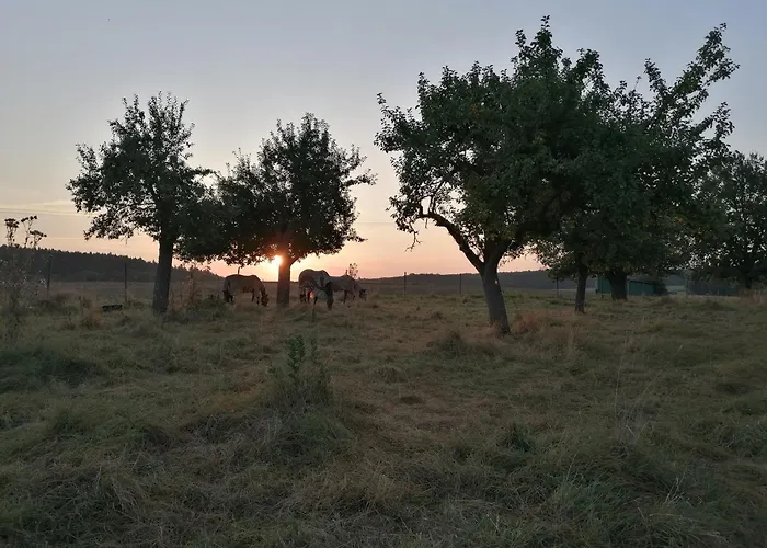 Apartment Casa Schrader *