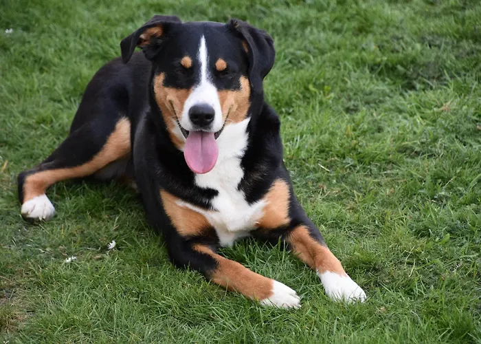 Casa Schrader Apartment Kaltenholzhausen